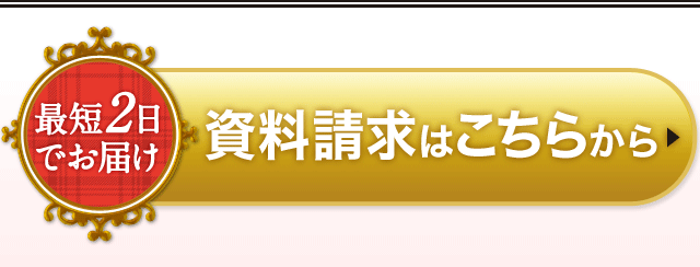 【最短2日でお届け】資料請求はこちらから