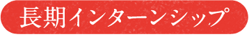 長期インターンシップ